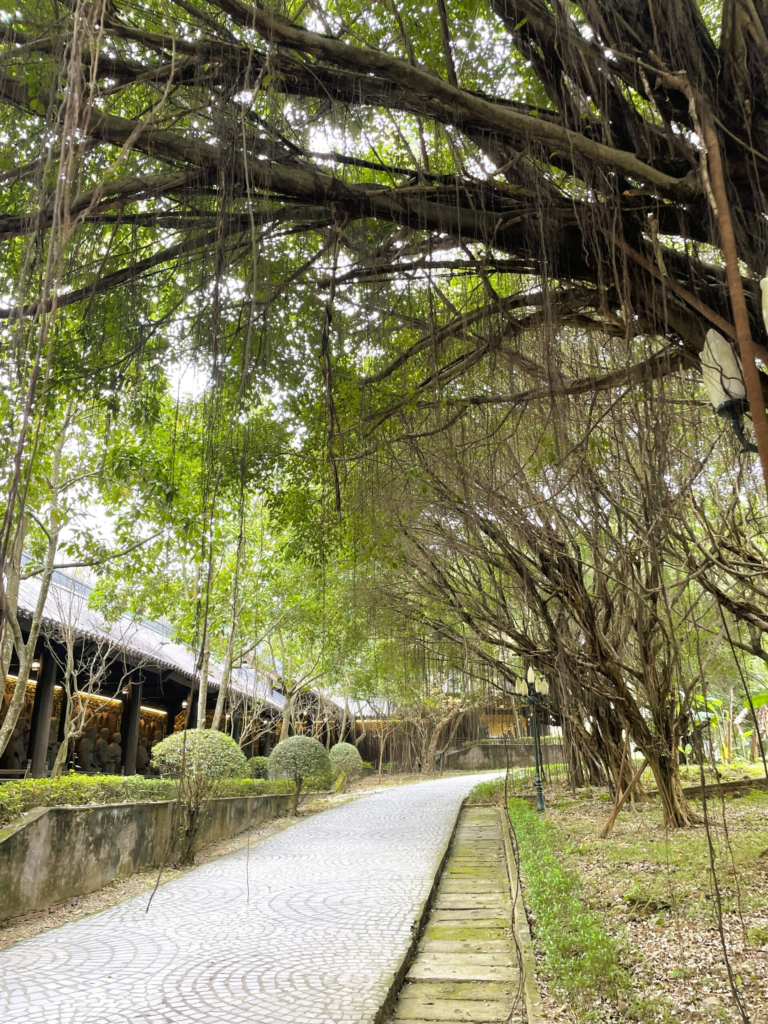 peaceful walkways and dangling trees at Bai Dinh on our Ninh Binh tour