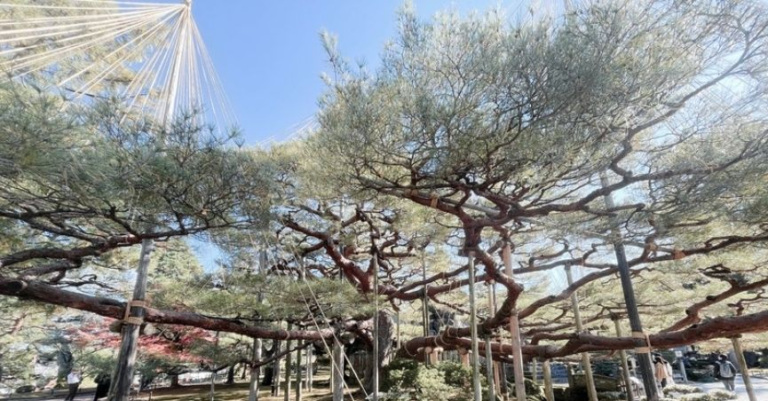 2 Days in Kanazawa: Gardens & Gold Leaf Traditions