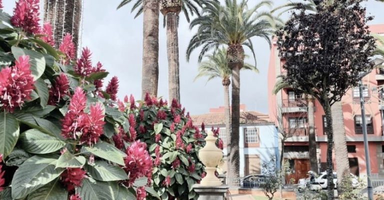 5 Days to Explore Tenerife Island