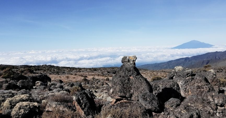 Mount Kilimanjaro Lemosho Route Part I: Getting to the Mountain