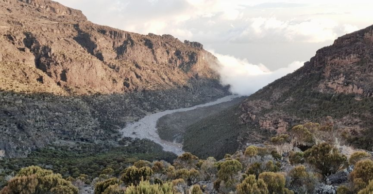 Climbing Kilimanjaro Lemosho Part II: Finding a Rhythm at Altitude