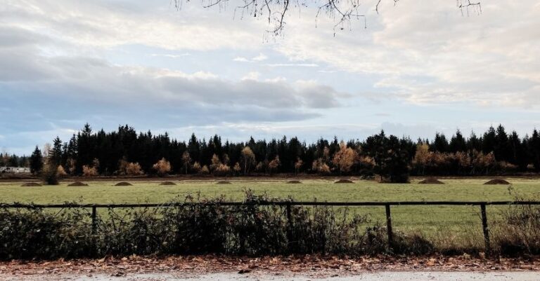 Fort Langley Bike Route: Derby Reach, Telegraph Trail & Farmland
