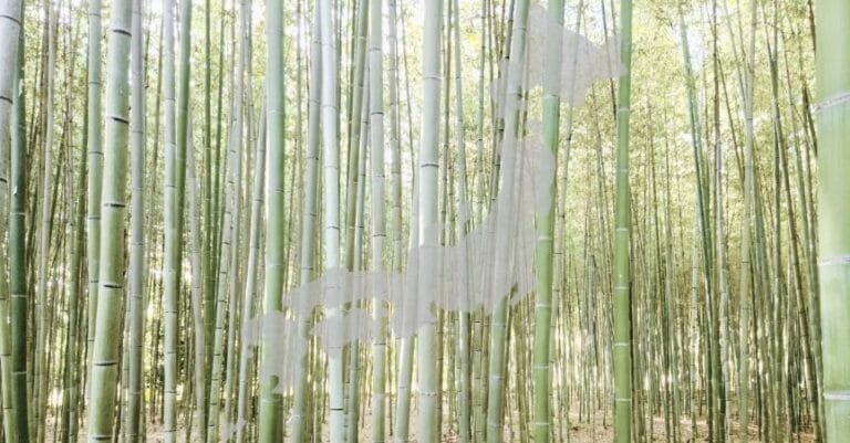 3 Week Japan Itinerary (no Tokyo, with biking)