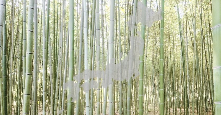 3 Week Japan Itinerary (no Tokyo, with biking)