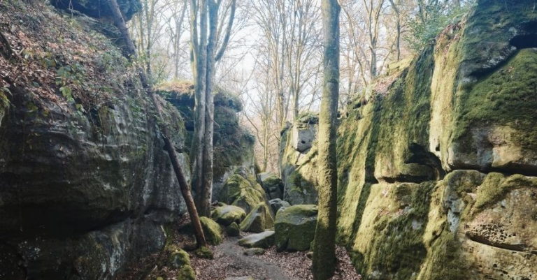 Mullerthal Trail Echternach Loop (E1): Day Hike in Luxembourg