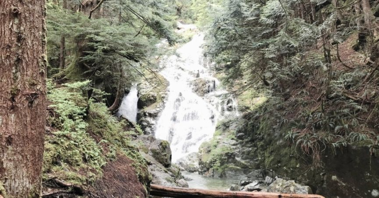 Big Cedar & Kennedy Falls: A Hike That Doesn't Need a Summit