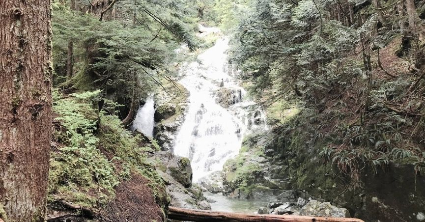 Big Cedar & Kennedy Falls: A Hike That Doesn't Need a Summit