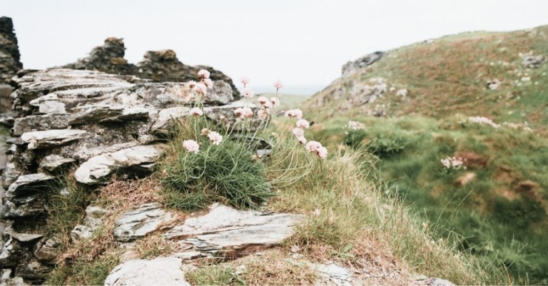 Rocky Valley & St Nectan’s Glen Hike near Tintagel, Cornwall