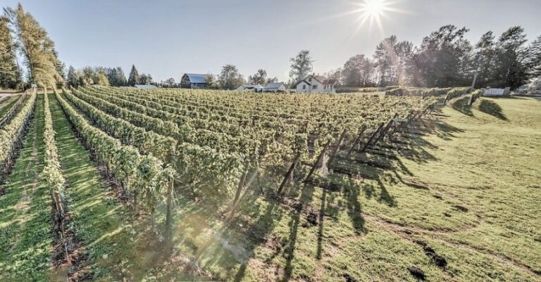 Bikes & Beverages 1: South Langley Wine, Cider & Mead Route