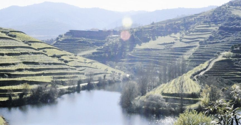 A Day Trip to the Douro Valley & Port Wine Tasting from Porto